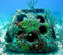 A coral reef with many holes in it